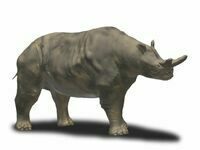 Artists reconstruction of a Titanothere.  By Nobu Tamura (http://spinops.blogspot.com)